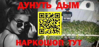 гашик Кингисепп