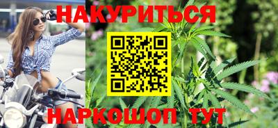 гашик Кингисепп