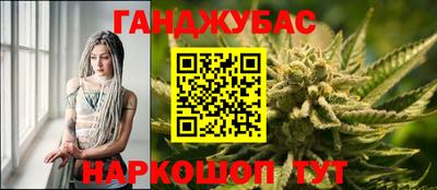 гашик Кингисепп