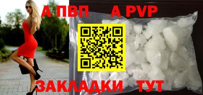 гашик Кингисепп