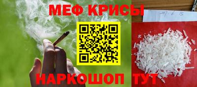 гашик Кингисепп